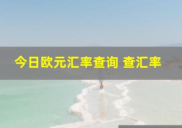 今日欧元汇率查询 查汇率